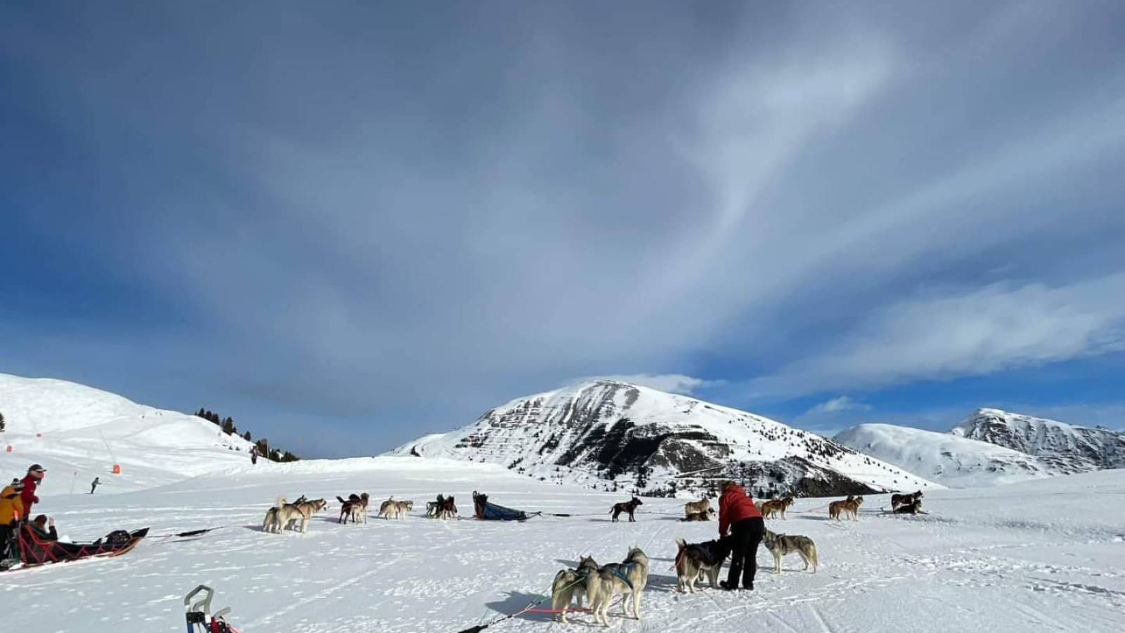 auris sledding school