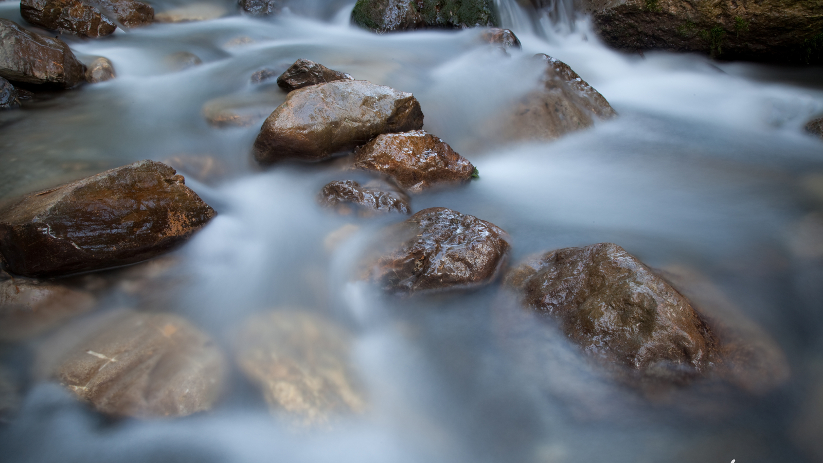 Stage Photo - Les bases de la photographie