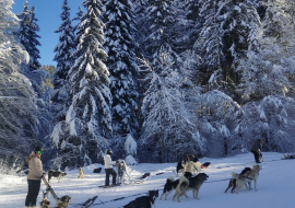 Préparation des attelages