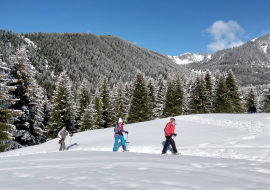 Snowshoeing in the sunshine