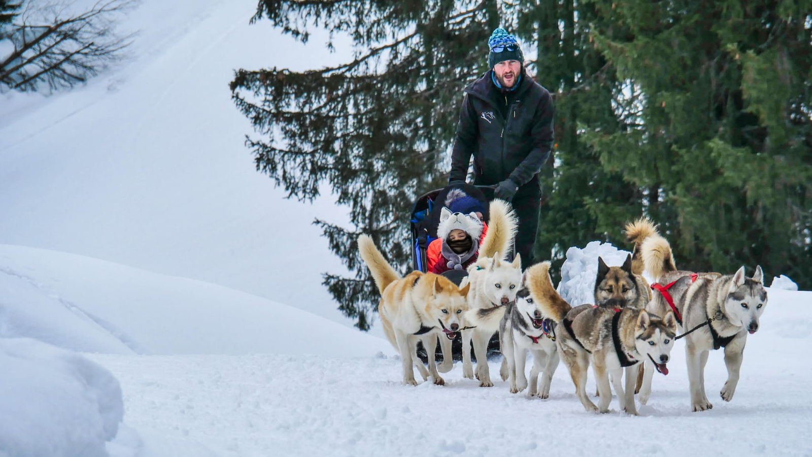 Slee getrokken door husky's