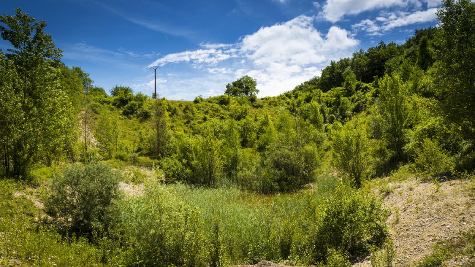 Espace Naturel Sensible de la Save - Secteur des étangs de Passins