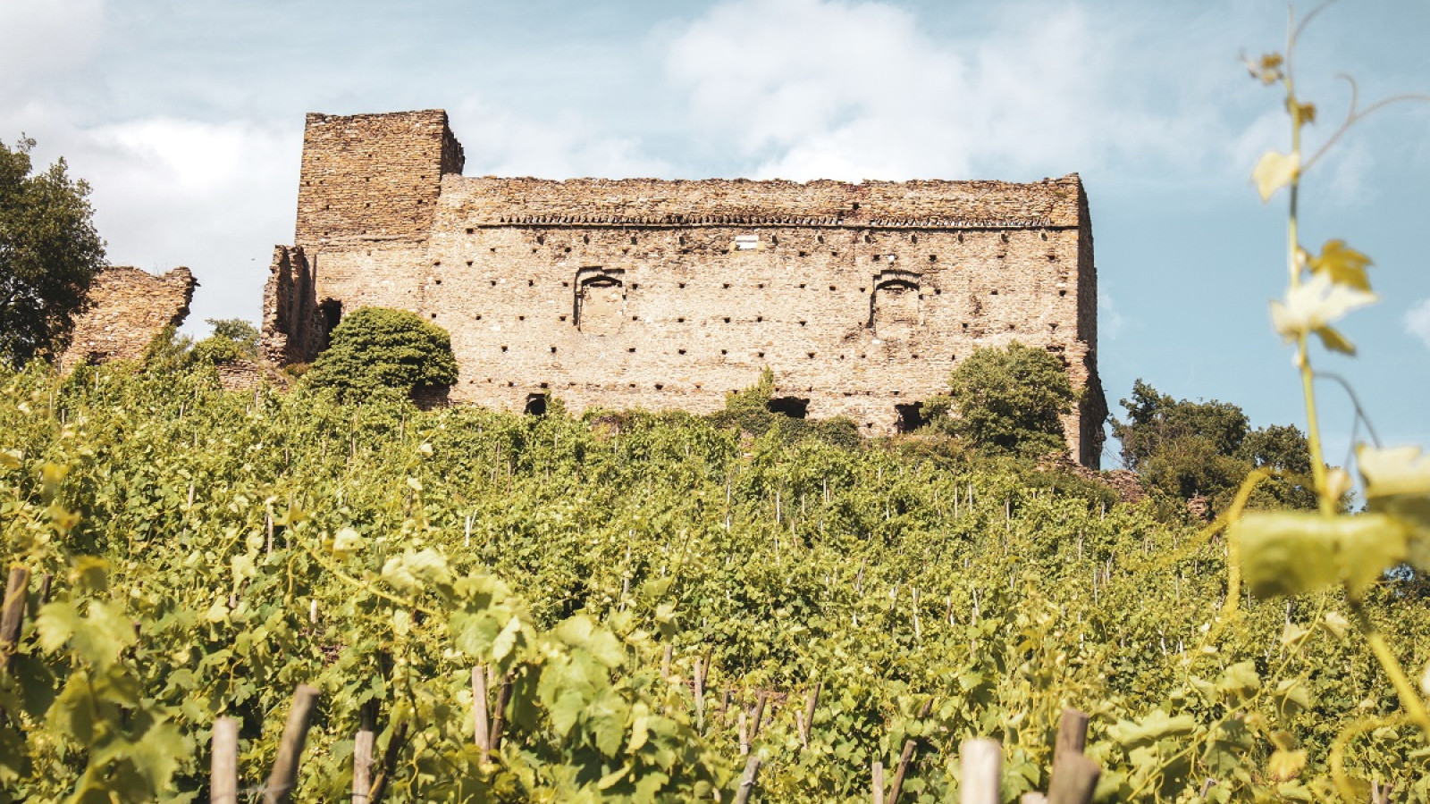 le château de Seyssuel au milieu des vignes