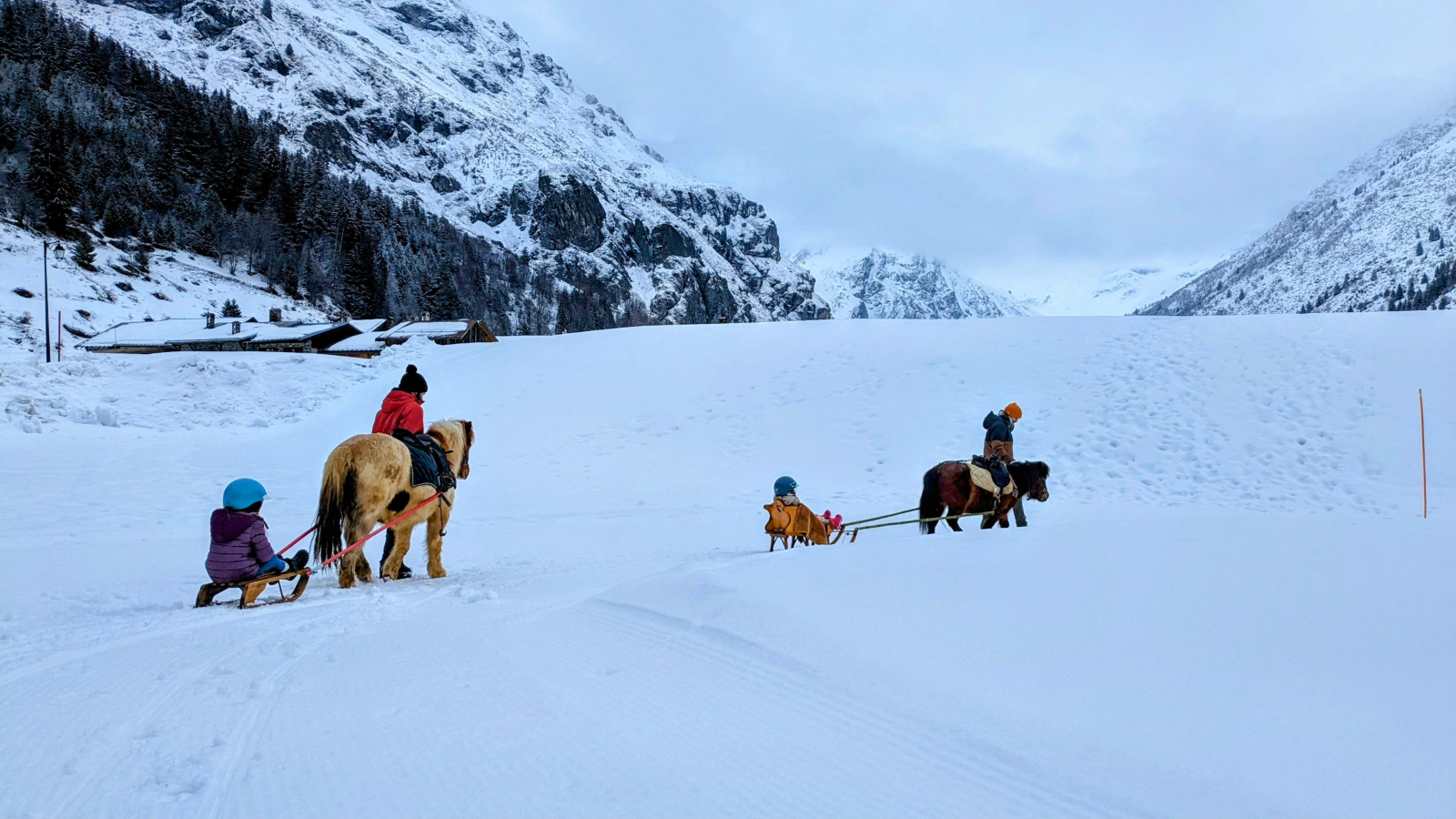 balade poney luge