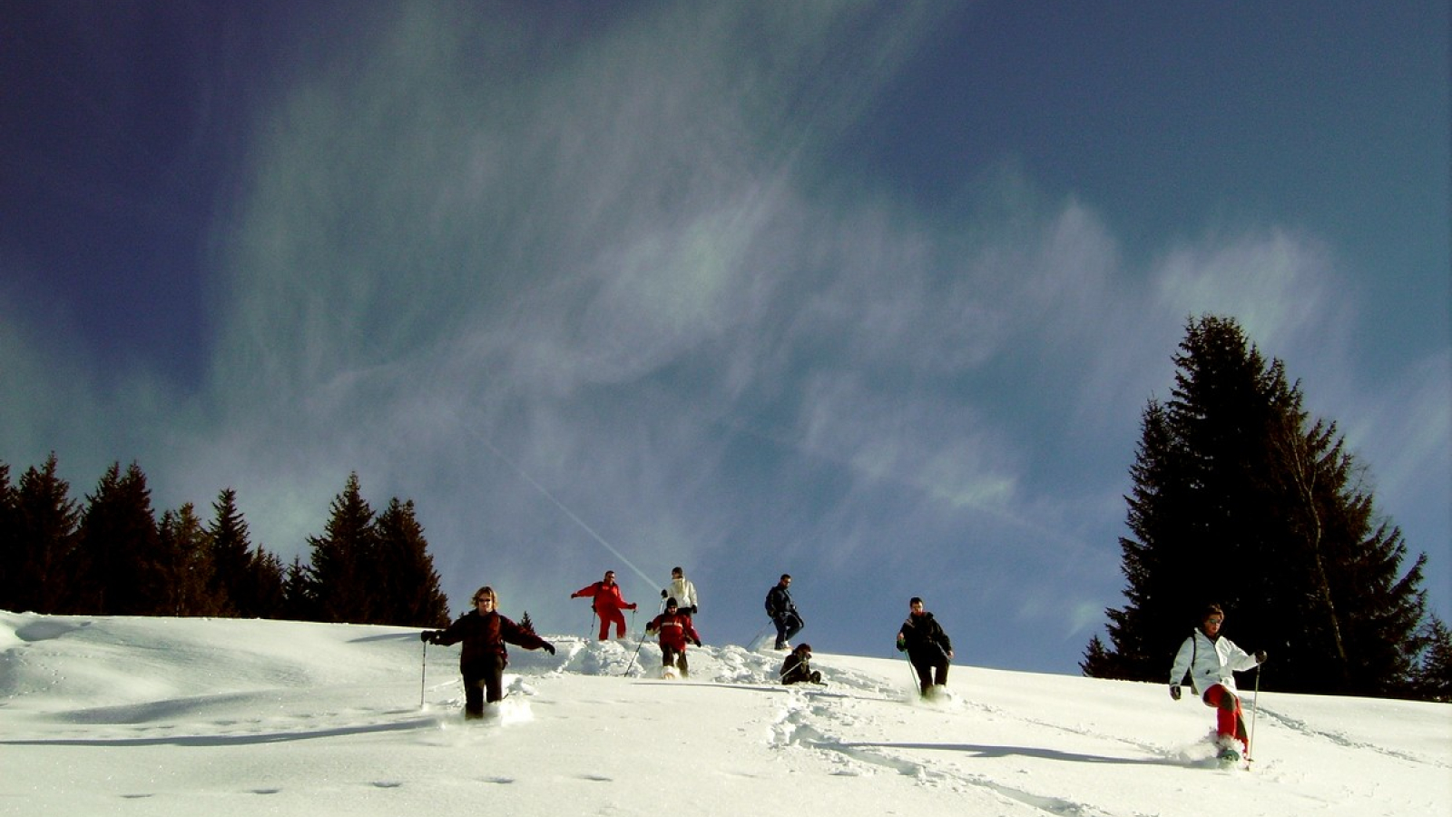 Snowshoe outings in powder