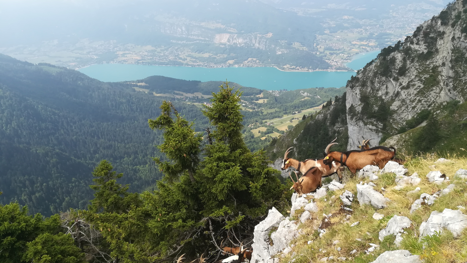 Rando Pointe de Talamarche