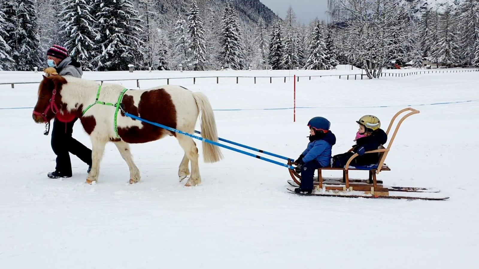 Poney luge