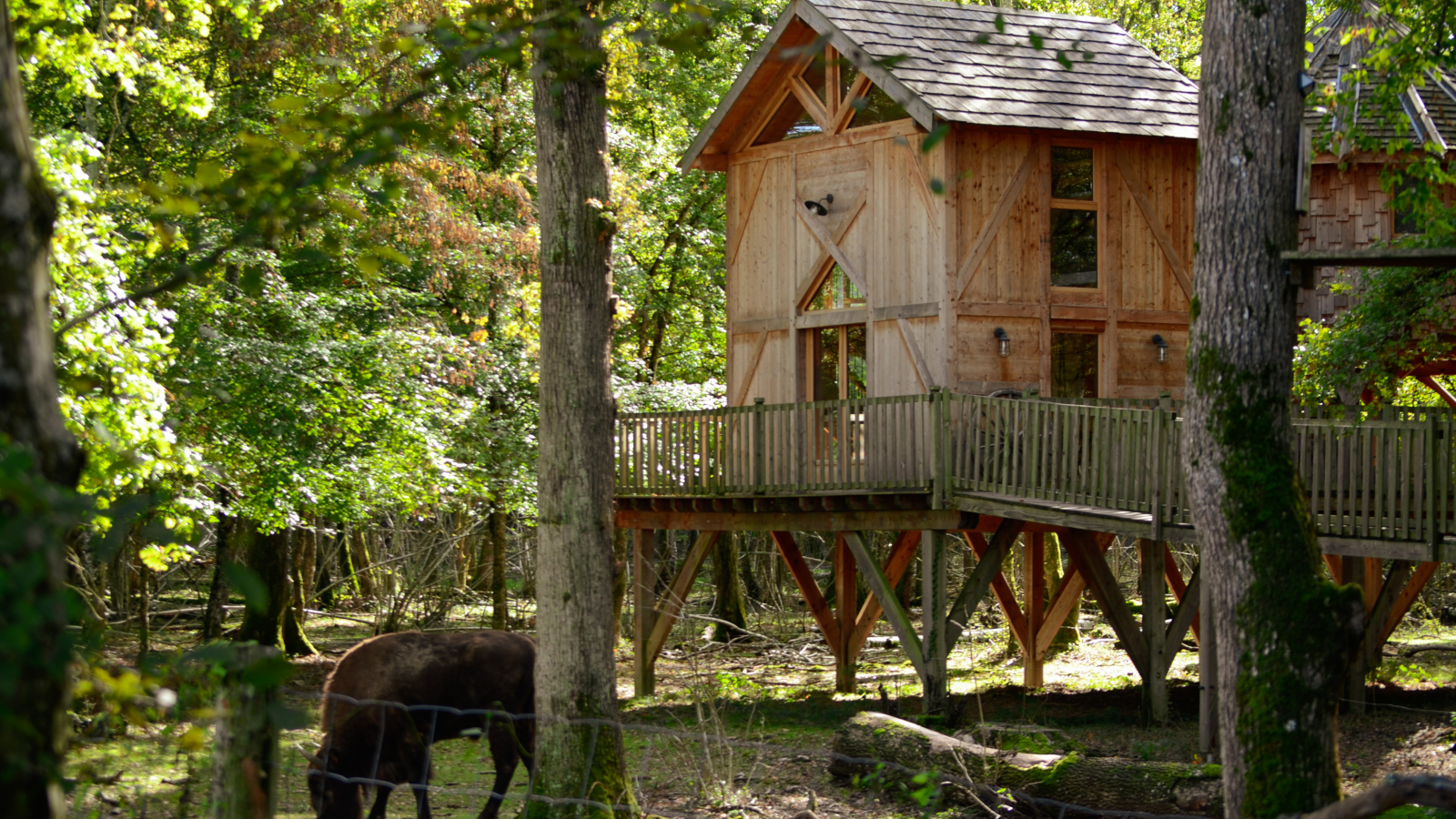 cabane Ranch parc des bisons