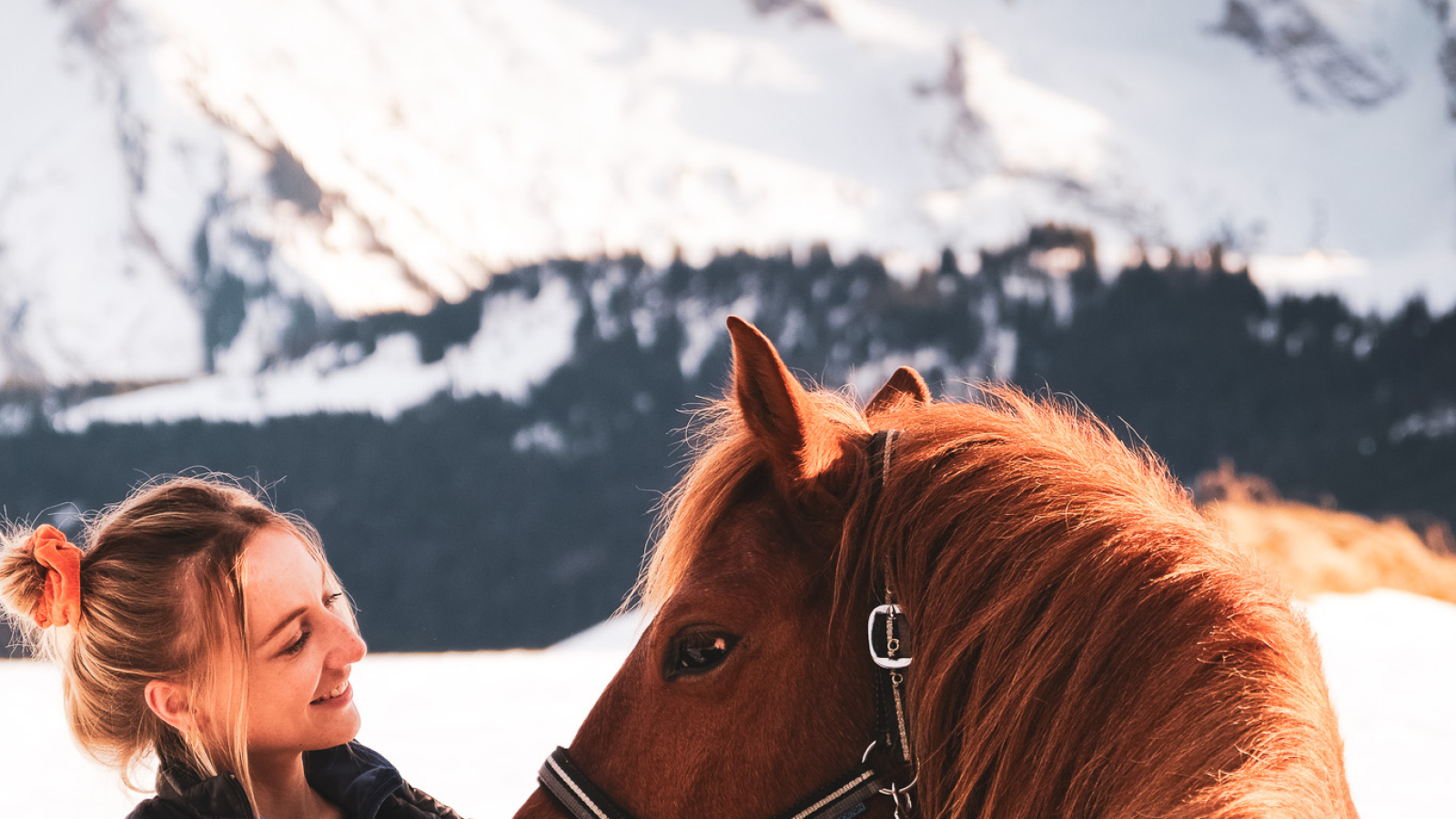 Médiation équine au Grand-Bornand