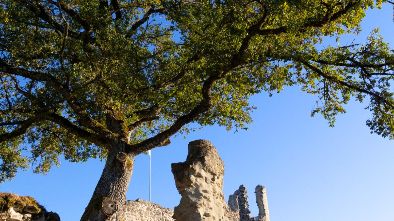 Les ruines de Thynières