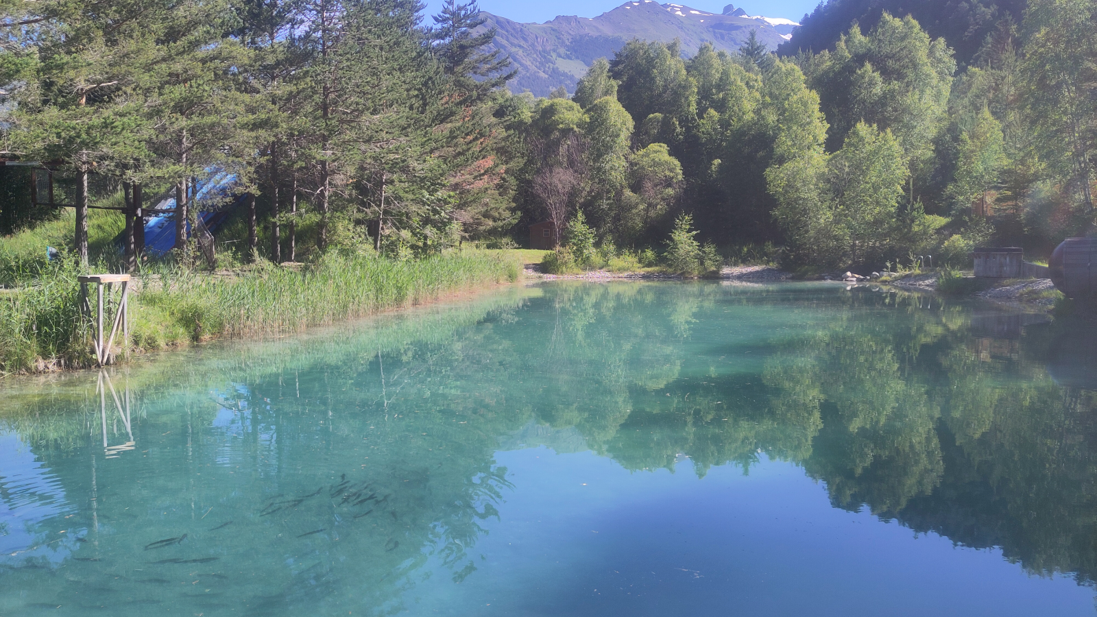 The lake in the early morning