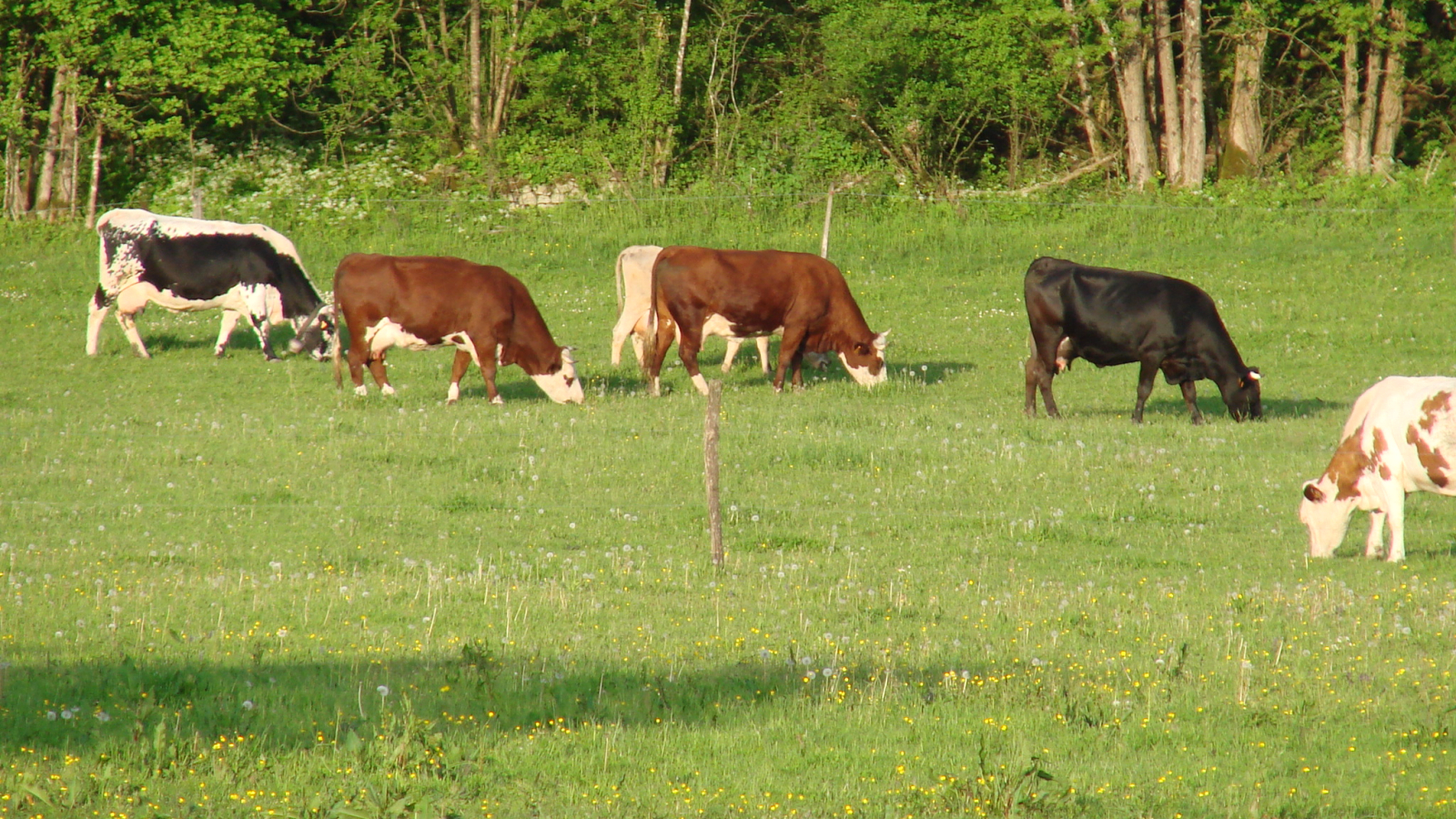 La Ferme du Marais