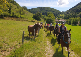 Un groupe de personnes, deux en tête à cheval et d'autres suivant à poneys, longent un champ dans lequel se trouvent deux chevaux. Leur promenade en pleine nature se fait sous un temps radieux.