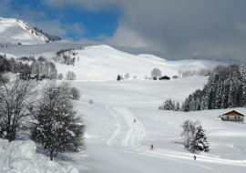 Pratique du ski de fond sur le Plateau de Plaine Joux, les Brasses, avec la Pointe de Miribel au fond