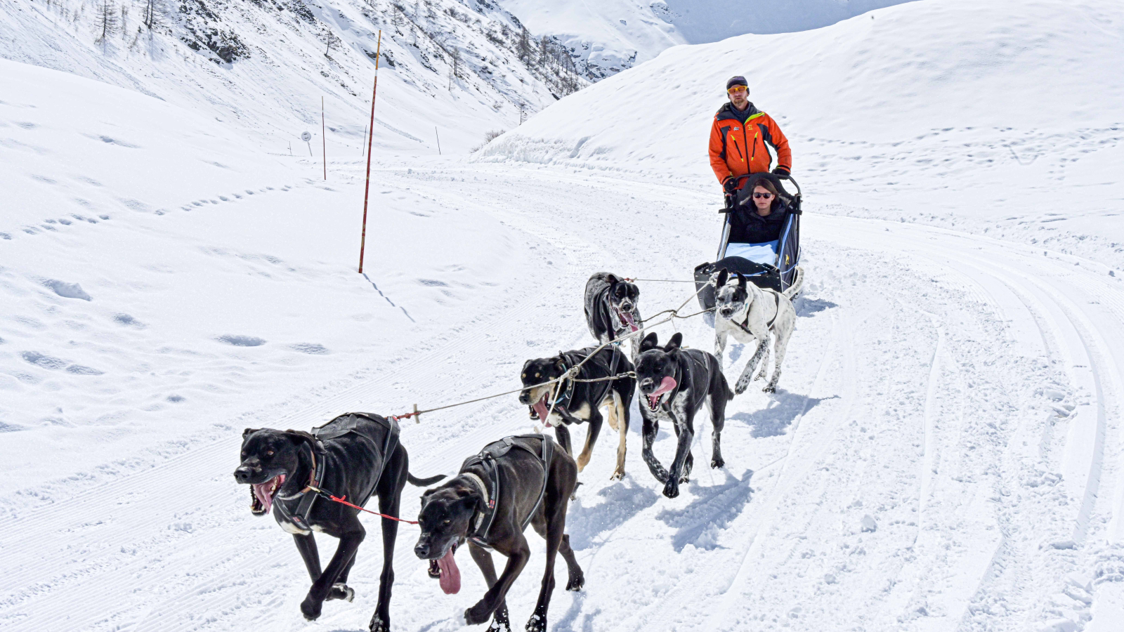 Chins pointers en sortie - Évolution 2 Val d'Isère