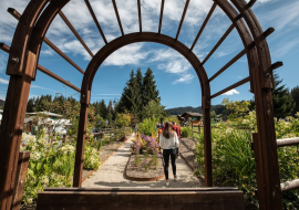 Jardin Botanique