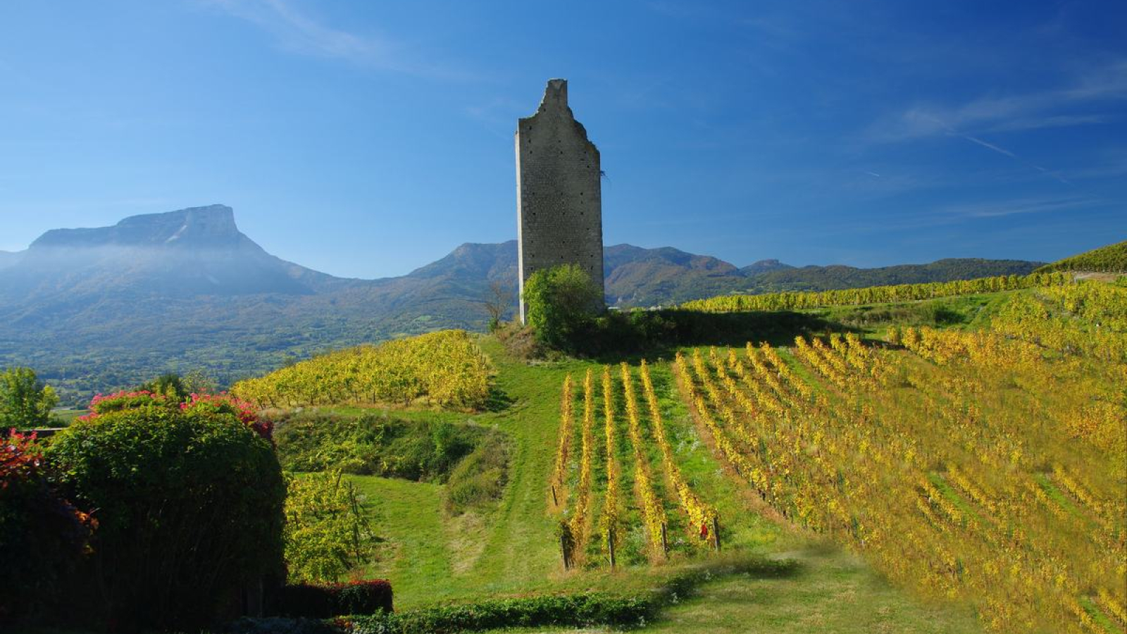 Vignes du Coeur de Savoie