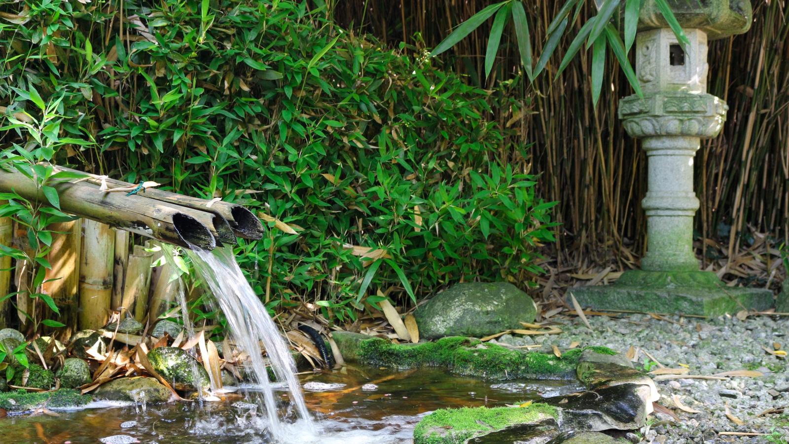 Les Jardins Aquatiques