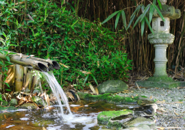 Les Jardins Aquatiques