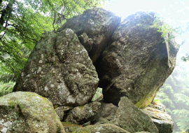 Pierres druidiques à Laprugne