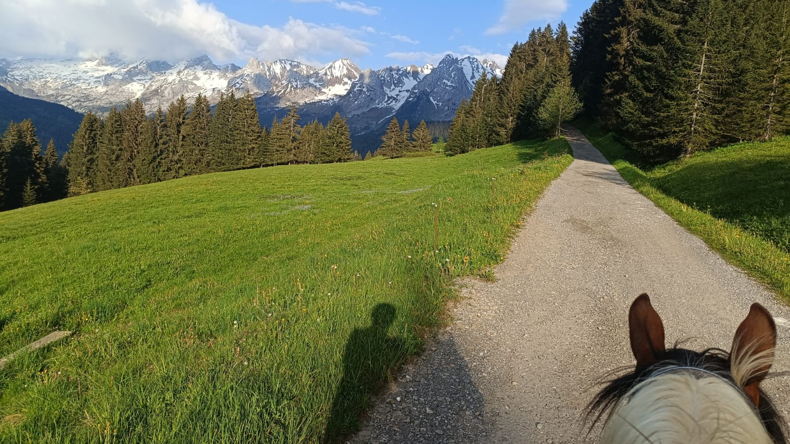 Balade à poney face à la chaîne des Aravis