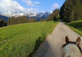 Balade à poney face à la chaîne des Aravis