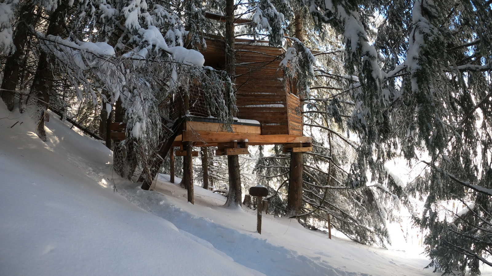 cabane dans les arbres neige