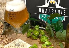 Bière et houblon
