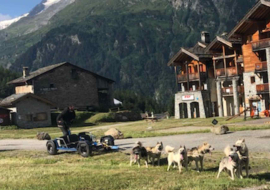 kart avec attelage de chiens devant le Mont Pourri