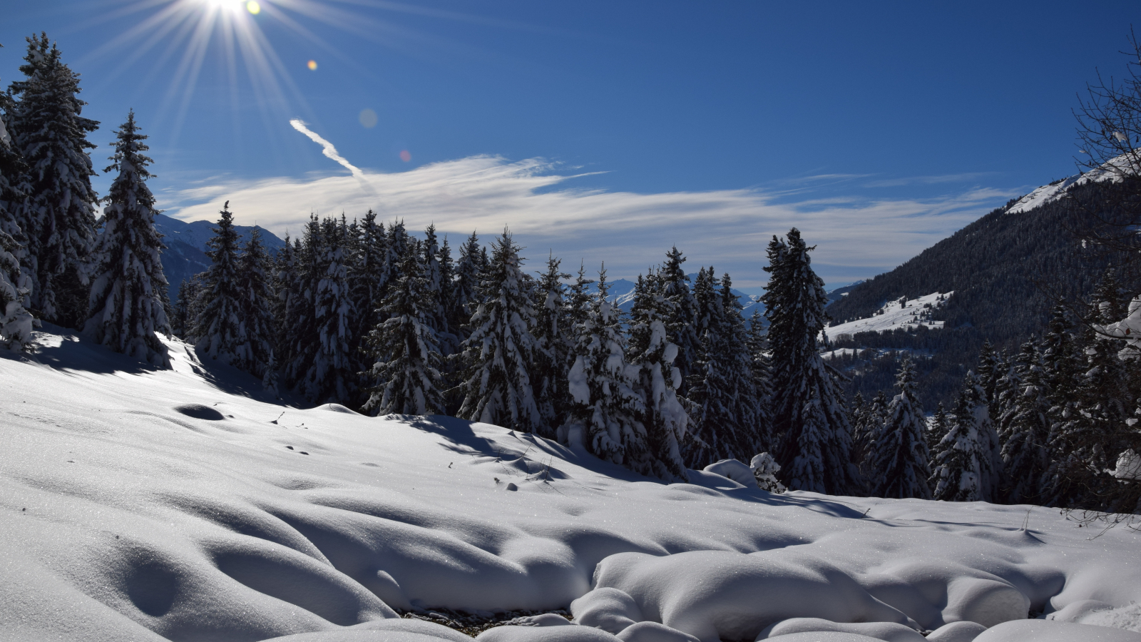 Snowy landscape in the sunshine at La Côte d'Aime