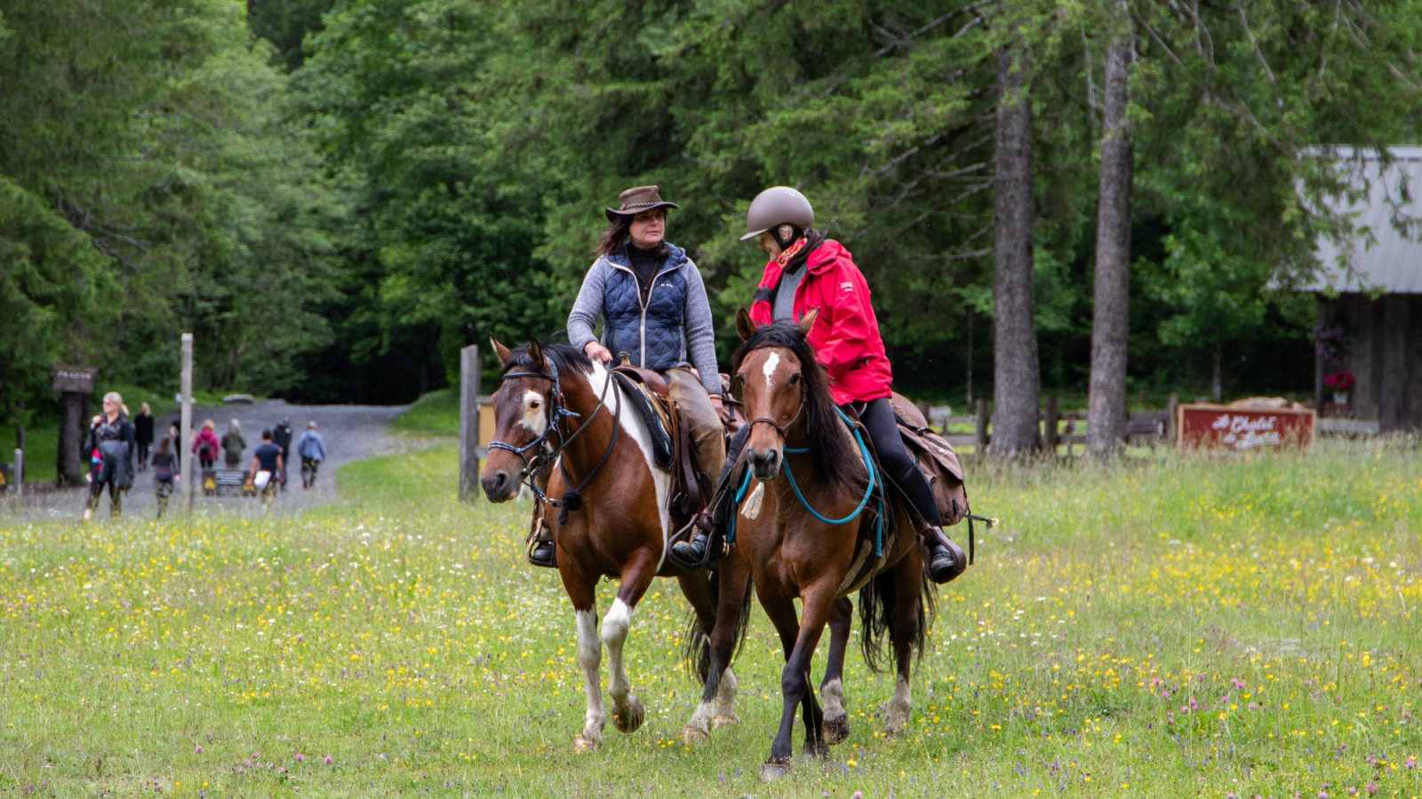 walks and horse rides