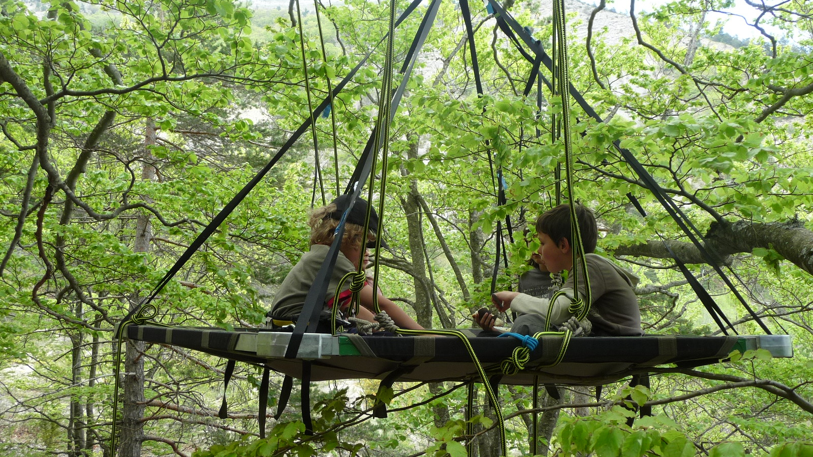 Anniversaire dans un arbre