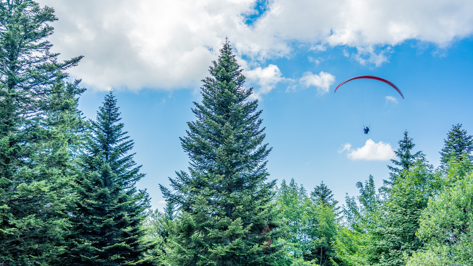 Vue sur les décollages de parapentes