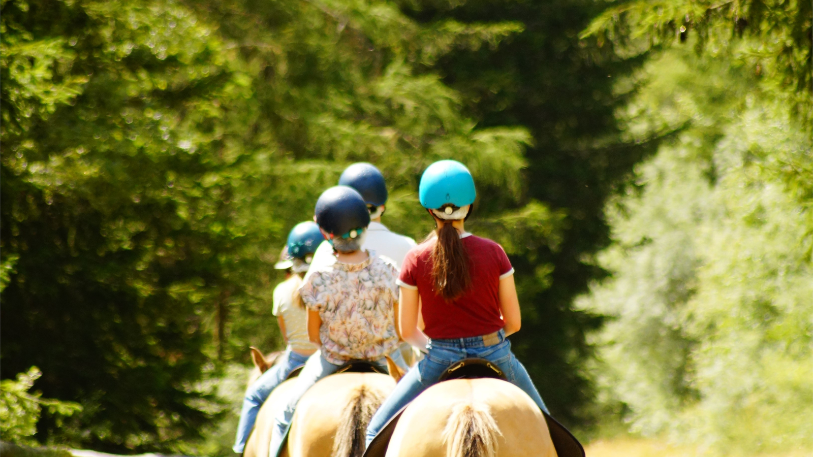 Balade a cheval a a demi journée ou à la journée 