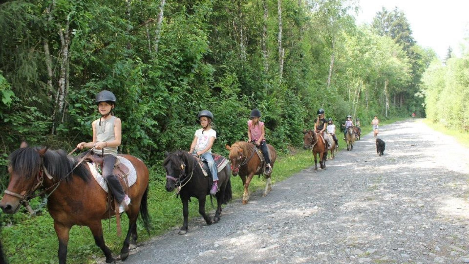 Promenade en poney