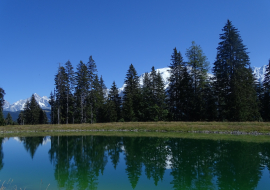 Lac de Chateluy