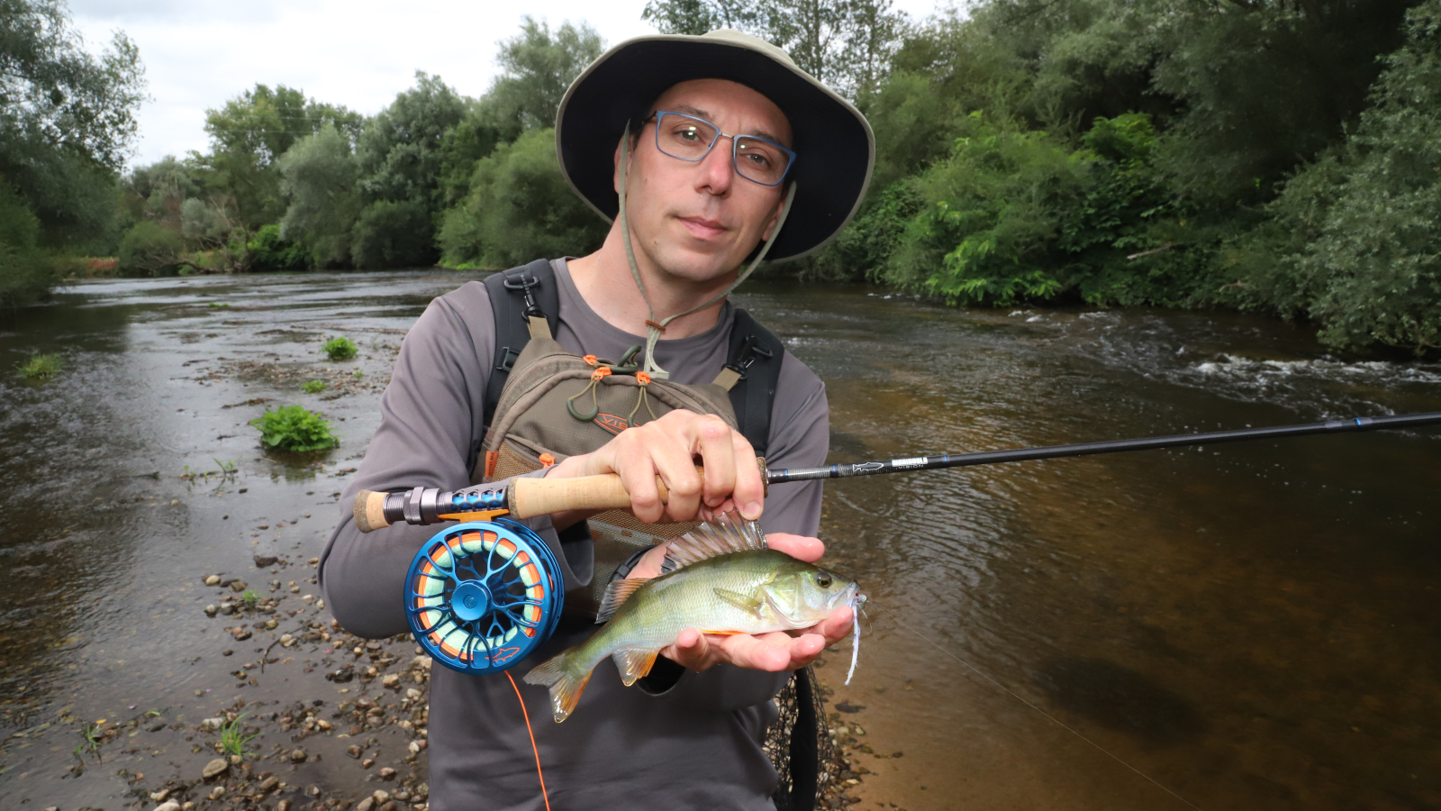 Pêche des carnassiers (perches) sur la rivière dore à la mouche