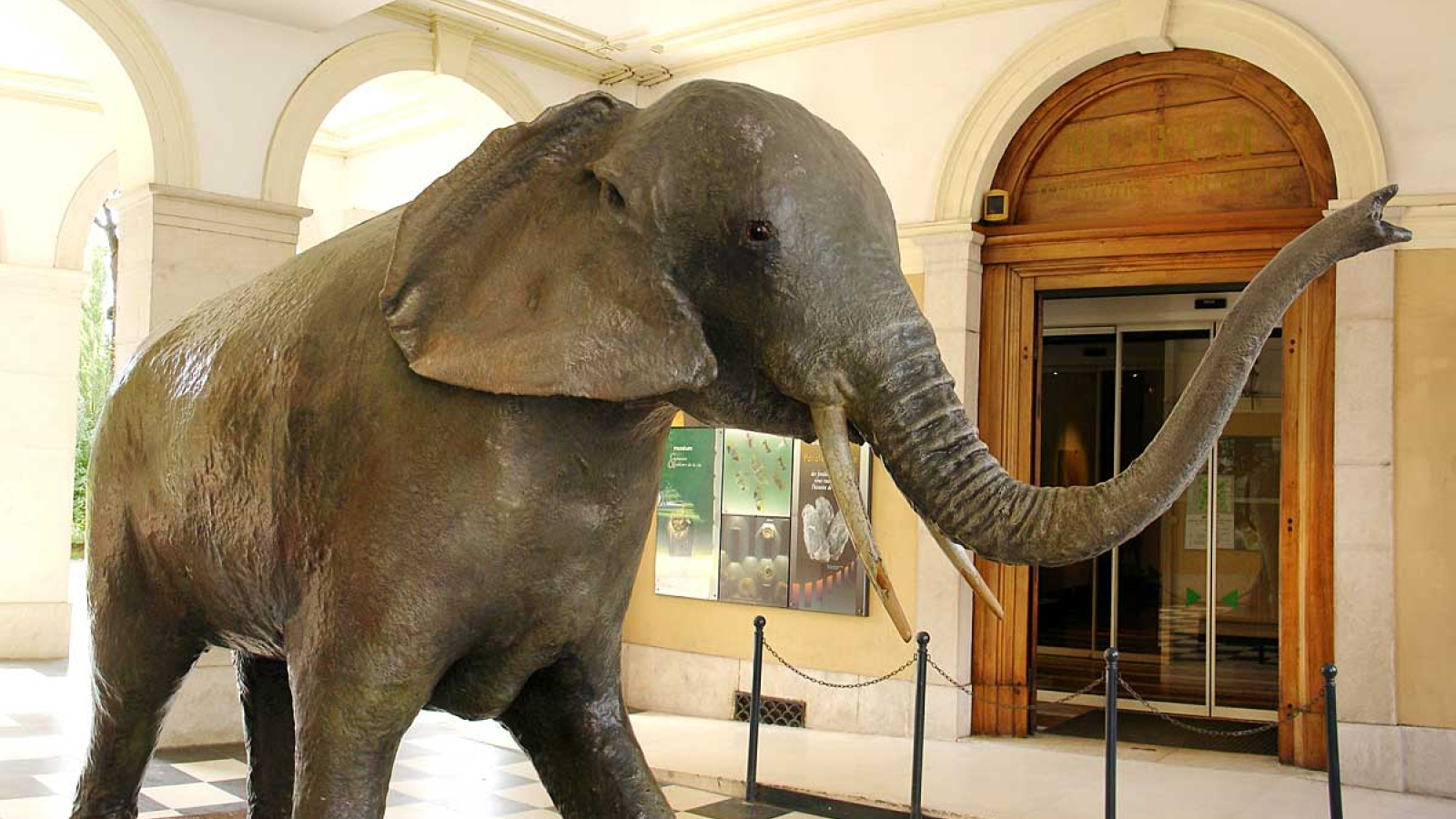 Muséum d'Histoire Naturelle