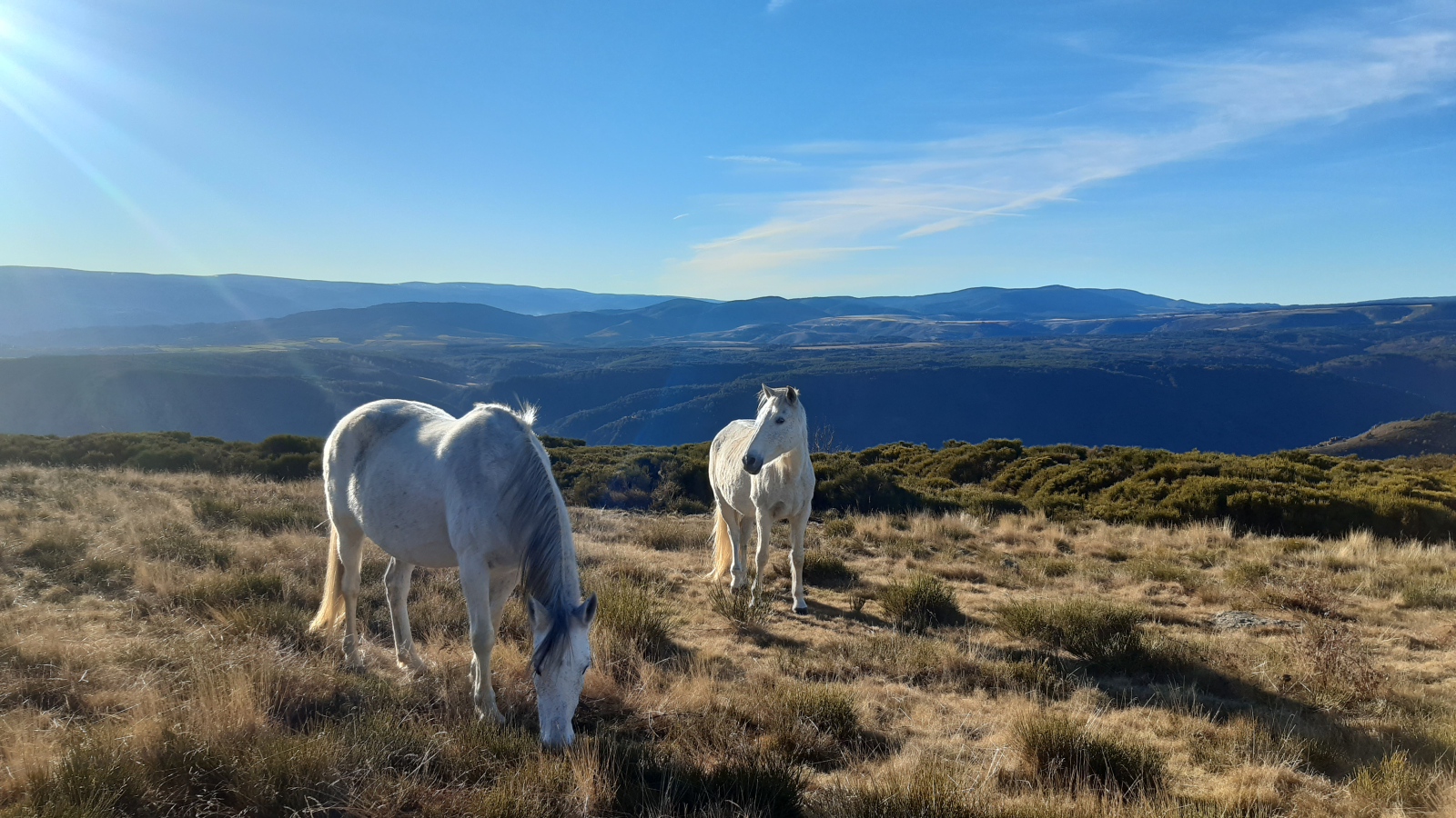 Vue sur Montselgues