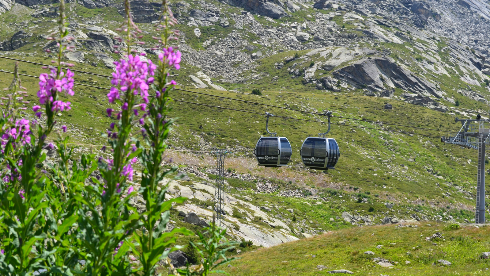 Gondola summer opening