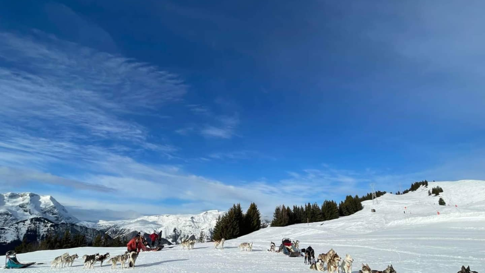 auris sledding school