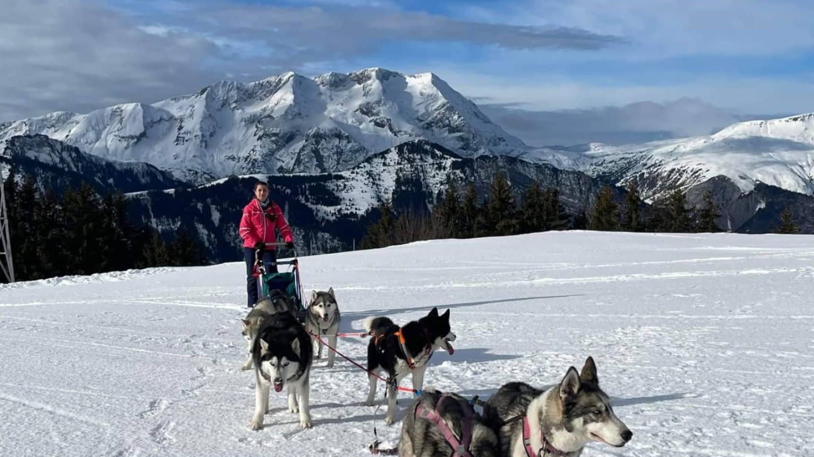 auris sledding school