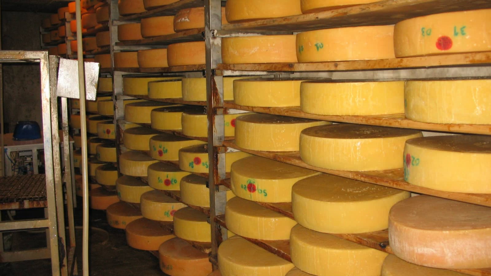 Fromages savoyards, meules d'Emmental