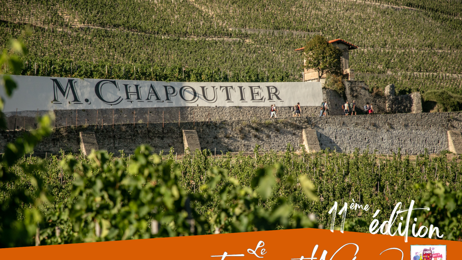 Découverte du vignoble