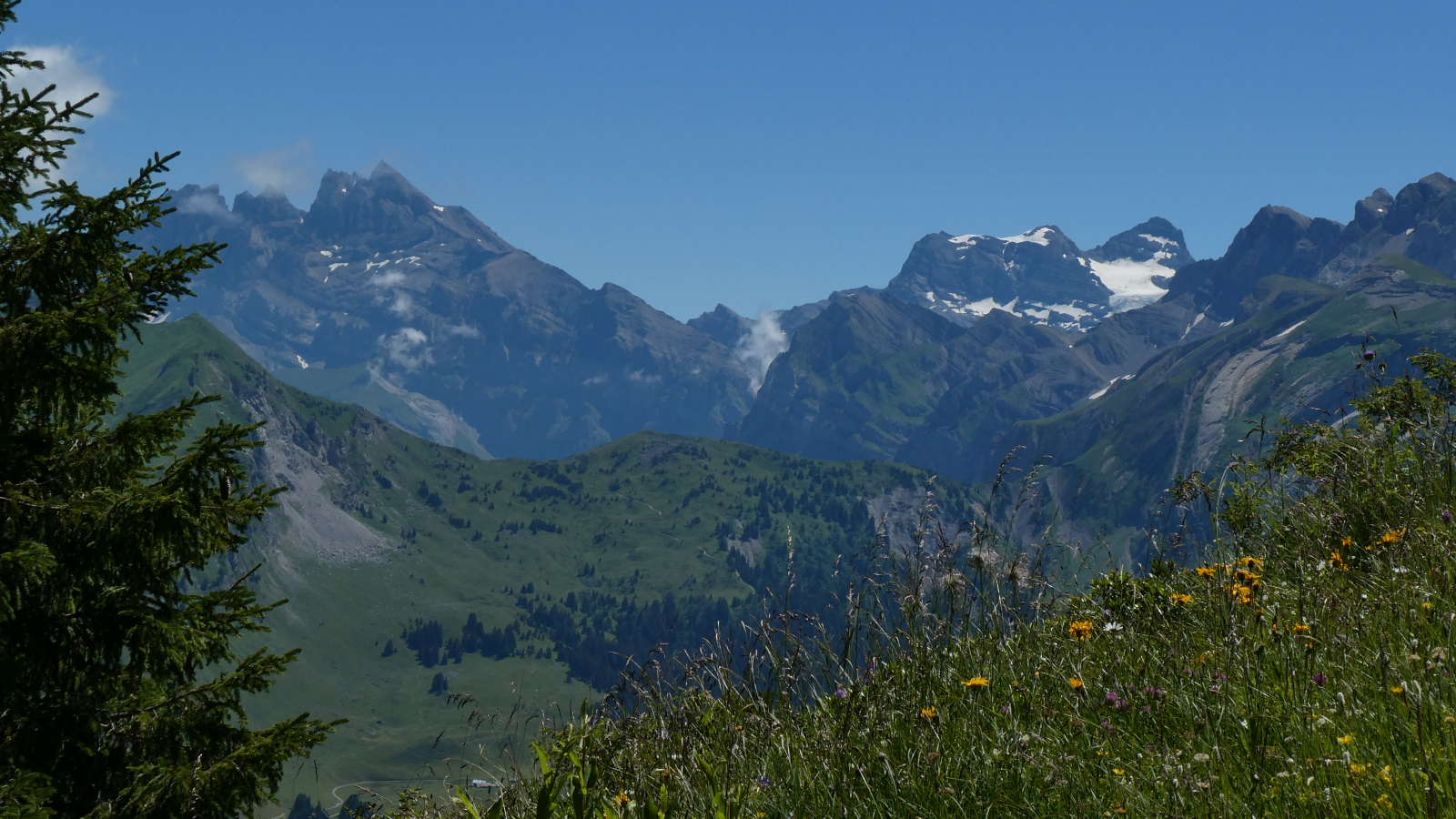 Panorama sur les montagnes l'été