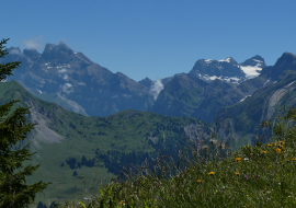 Panorama sur les montagnes l'été