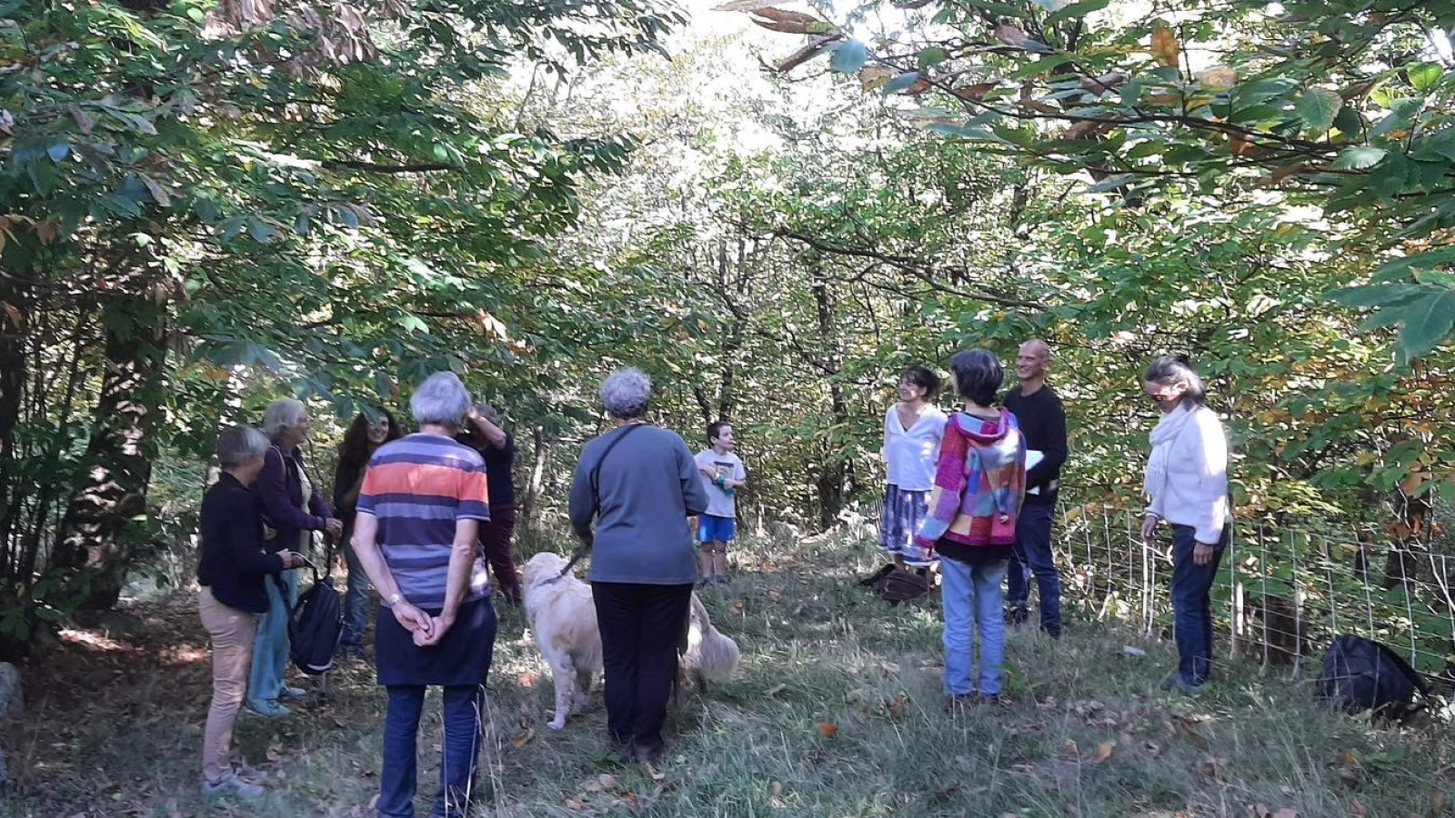 Bain de forêt sur Sablières 