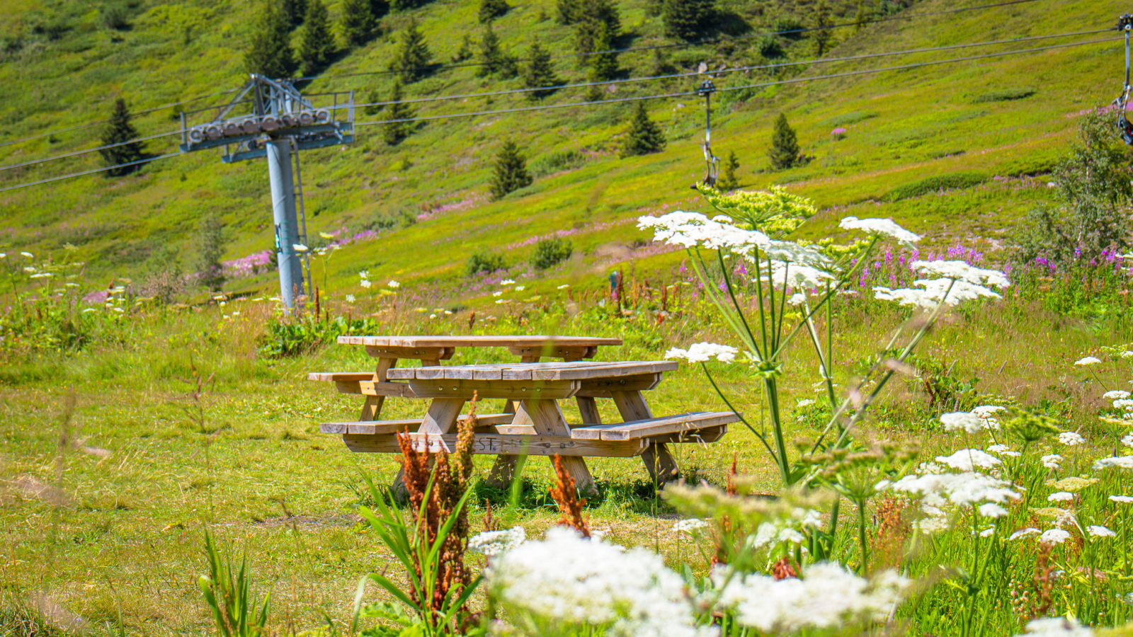 Two picnic tables on the chairlift side of the lake