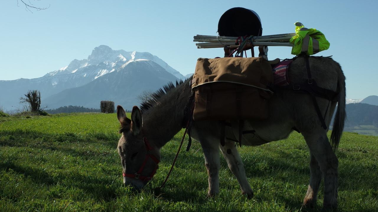 Randonnée et Bivouac avec des Anes - Séjour sans voiture