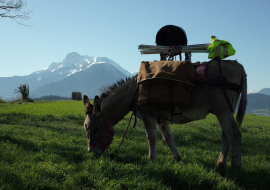 Randonnée et Bivouac avec des Anes - Séjour sans voiture